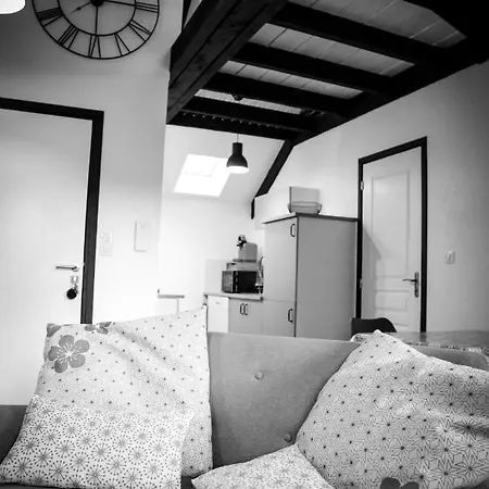 Duplex Centre Apartament Saint-Flour (Cantal)