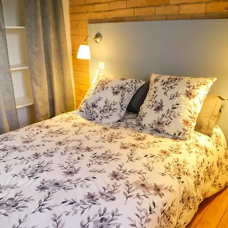 Apartment Duplex Centre Saint-Flour (Cantal)