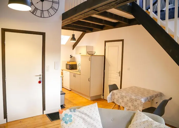 Duplex Centre * Saint-Flour (Cantal)